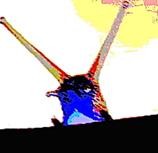 Track artwork