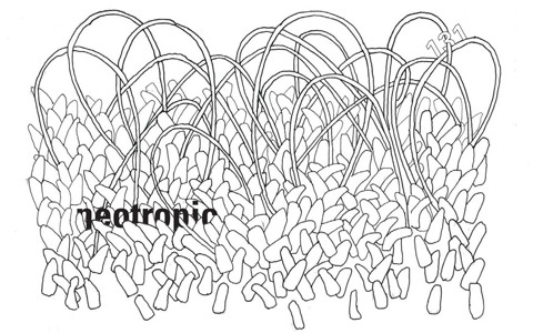 Track artwork
