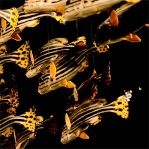 Track artwork