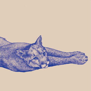 @playlist artwork