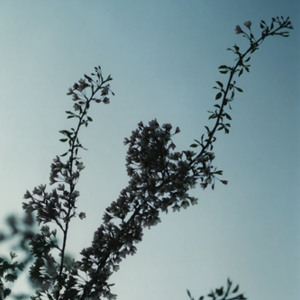 @playlist artwork