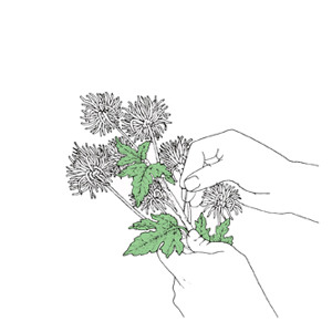 artworks-000000471746-d9gpb6-crop.jpg?6af6e0e