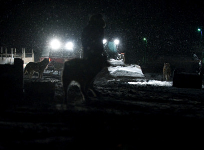Track artwork