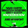 David Guetta, Sebastian Ingrosso, Dirty South ft. Julie McKnight - How Soon Is Now (album version) album artwork