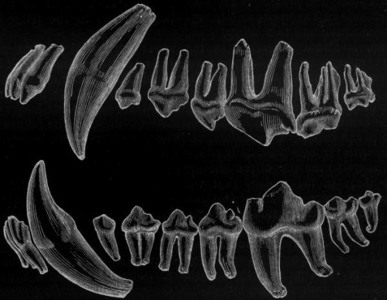 artworks-000001046545-yyfy5s-crop.jpg?aa1a7cb