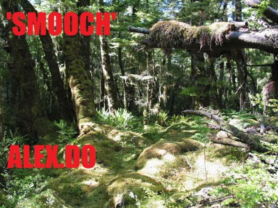 Track artwork
