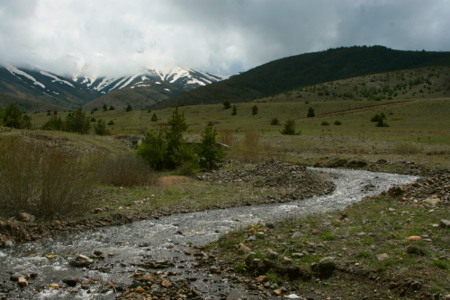 Track artwork