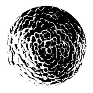 @playlist artwork