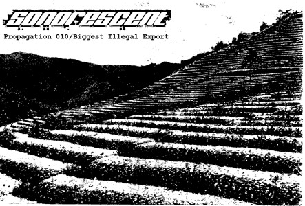 Track artwork