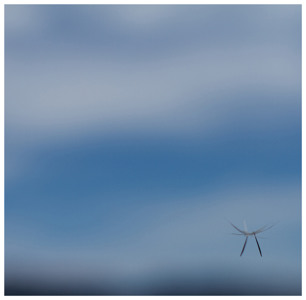 @playlist artwork