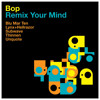 Bop - Nothing Makes Any Sense (Blu Mar Ten remix) album artwork