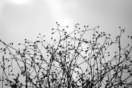 @playlist artwork