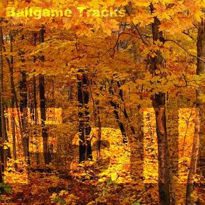 @playlist artwork