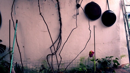 @playlist artwork