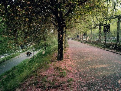 Track artwork
