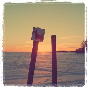 Track artwork