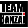Billy Joel - We Didn't Start The Fire (TEAM BANZAI Remix) album artwork