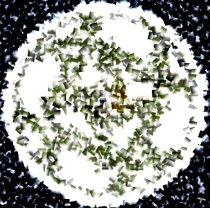 Track artwork