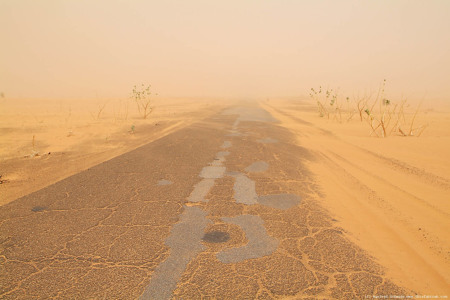 Track artwork