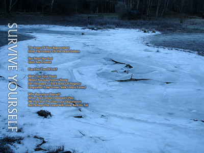 Track artwork