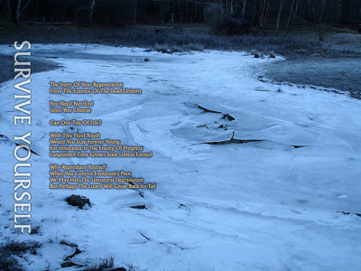 Track artwork
