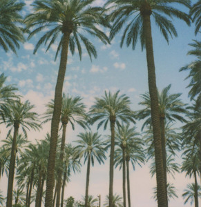 Track artwork
