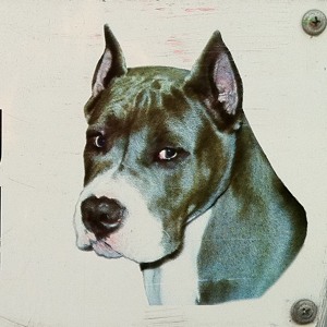 Track artwork