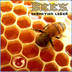 Preview: Sebastien Leger - Bees [Dirtybird]