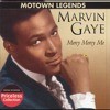 Mercy Mercy Me - Marvin Gaye (Hippie Torrales Mix) album artwork