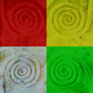 Track artwork