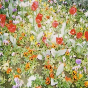 Track artwork