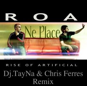 roa ne place remix