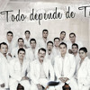 TU HISTORIA FUE CONMIGO LA ARROLLADORA BANDA EL LIMON album artwork