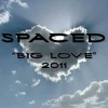 **FREE DOWNLOAD** Fleetwood Mac "Big Love" (Spaced 2011 Club Mix) album artwork