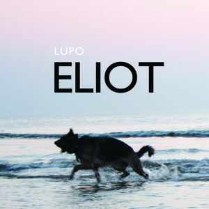 @playlist artwork
