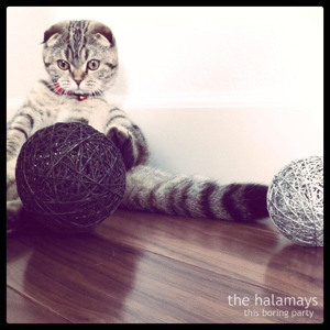 halamays