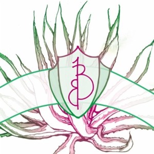 @playlist artwork