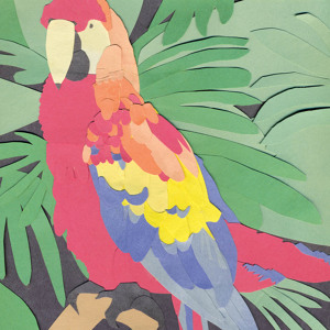 Track artwork