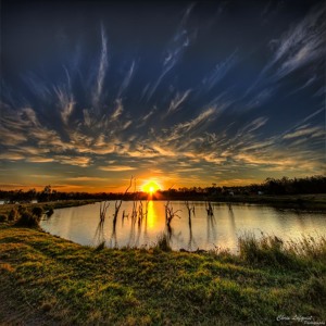 @playlist artwork