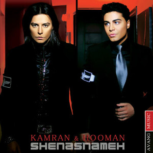 Track artwork
