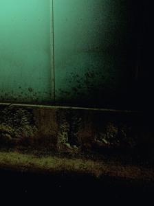 @playlist artwork