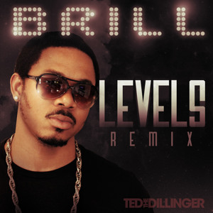 Ted the Dillinger - Brill - Levels Remix