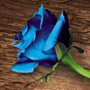 @playlist artwork