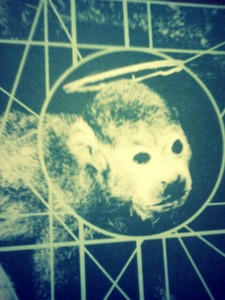 Track artwork