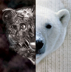 Track artwork