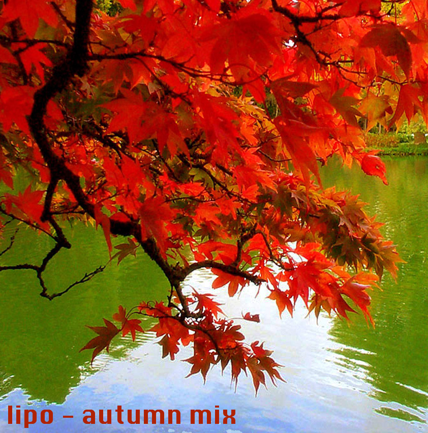 http://i1.sndcdn.com/artworks-000013050805-5pt0nx-original.jpg?53a9ff3