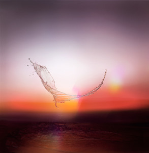 Track artwork