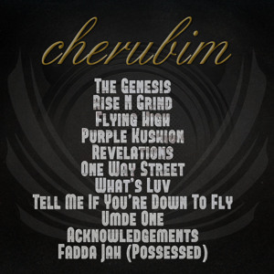 Track artwork