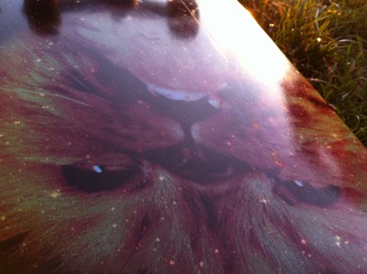 Track artwork