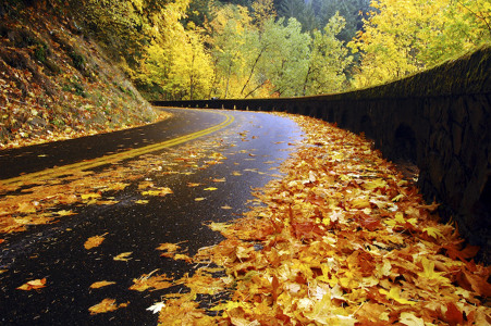 Track artwork